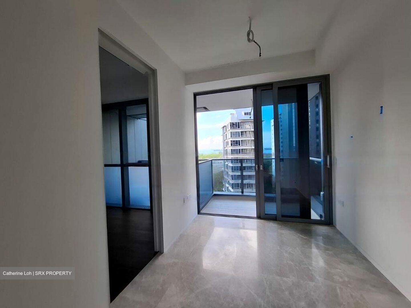 Amber Park (D15), Condominium #453350991
